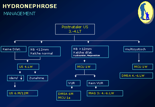 Harntransportstörungen im Kindesalter - 03